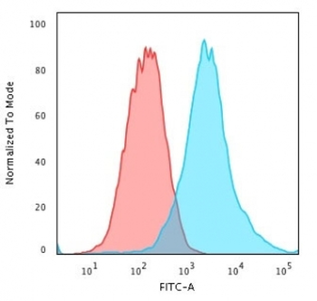 Recombinant Cytokeratin 19 Antibody