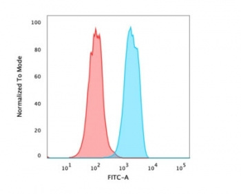 Recombinant FOXA1 Antibody