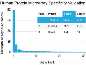 Recombinant TL1A Antibody / TNFSF15 / VEGI