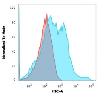 Recombinant Neurofilament Antibody / Heavy