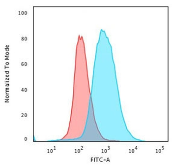 Recombinant CD86 Antibody / Rabbit Monoclonal