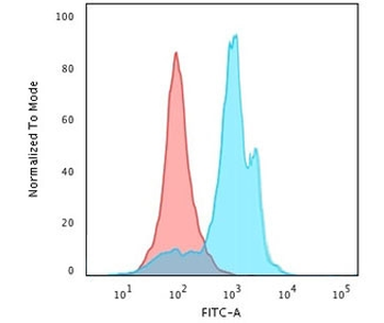 Recombinant Glypican 3 Antibody / GPC3 / Rabbit Monoclonal