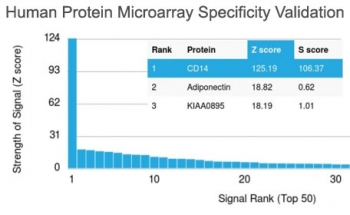 CD14 Antibody (Macrophage Marker)