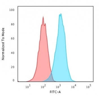 Recombinant CD20 Antibody / Rabbit Monoclonal
