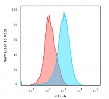 Recombinant CD31 Antibody / Rabbit Monoclonal
