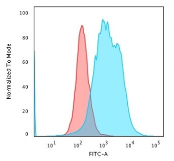 Recombinant Calponin Antibody / Rabbit Monoclonal