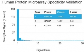 Recombinant Galectin 1 Antibody