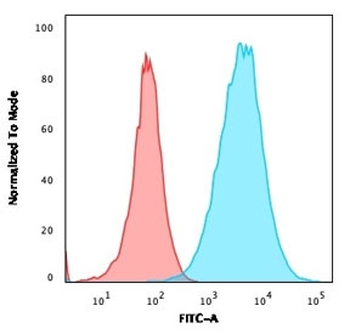 Recombinant S100A4 Antibody / FSP1