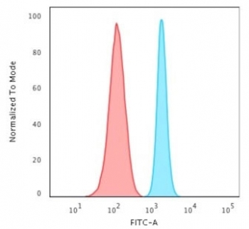 Recombinant Spectrin beta III Antibody / SPTBN2