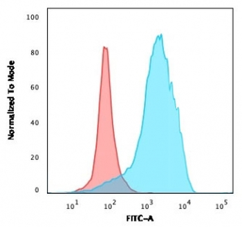 Recombinant CD63 Antibody / LAMP-3