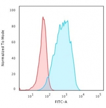 Recombinant HLA-DQ Antibody (MHC II)