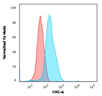 Recombinant CD34 Antibody