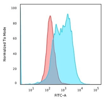 Recombinant Bcl10 Antibody