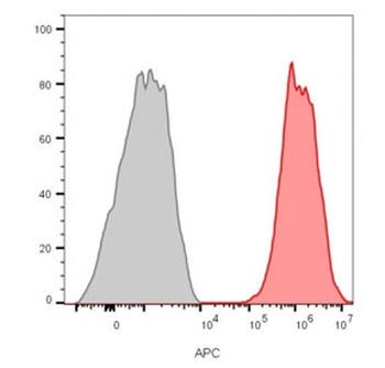 Recombinant CD81 Antibody
