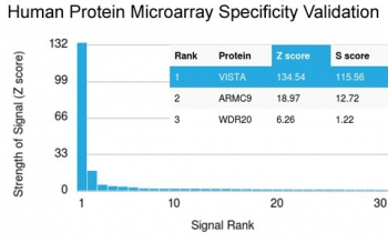 VISTA Antibody / GI24