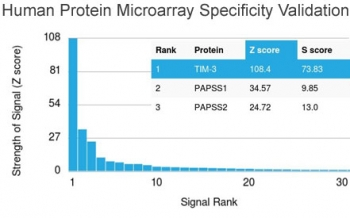 TIM3 Antibody / HAVCR2