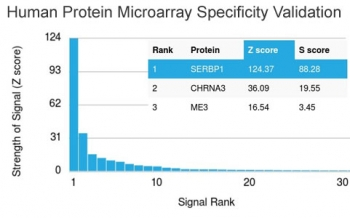 SERBP1 Antibody / PAI-RBP1