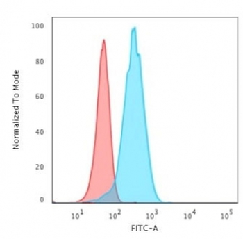 Recombinant UchL1 Antibody