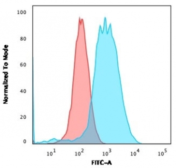 Estrogen Receptor alpha Antibody