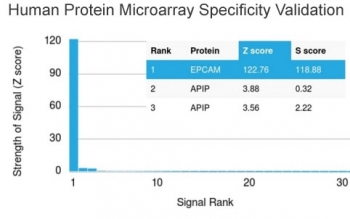 EpCAM Antibody