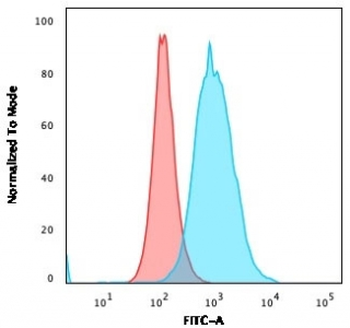 Recombinant Thymidylate Synthase Antibody