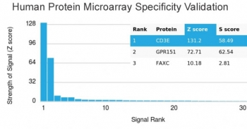 Recombinant CD3e Antibody