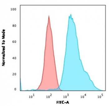 Pan Cytokeratin Antibody Cocktail (Acidic + Basic)