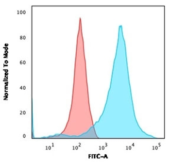 Neurofilament Antibody Cocktail (Heavy + Light)