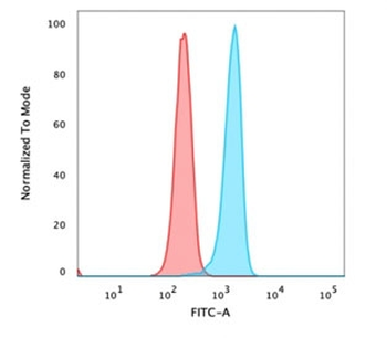 Recombinant Catenin beta Antibody