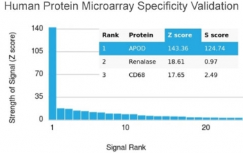 APOD Antibody / Apolipoprotein D