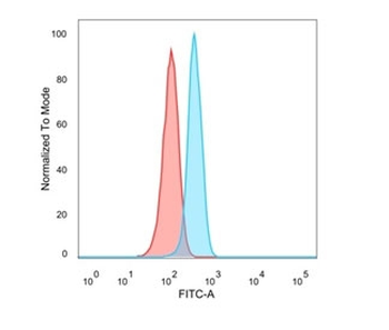 SOD1 Antibody / Superoxide Dismutase 1