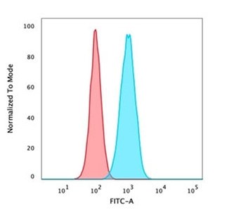 Recombinant p40 Antibody / deltaNp63