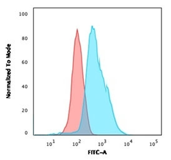 Recombinant Calponin Antibody / Rabbit Monoclonal