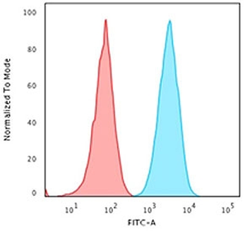 HLA-DP/DQ/DR Antibody (MHC II)