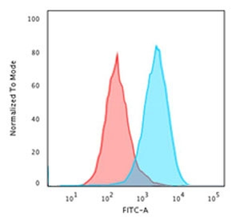 Recombinant CD20 Antibody / Rabbit Monoclonal