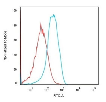 Recombinant Cadherin 16 Antibody / Rabbit Monoclonal