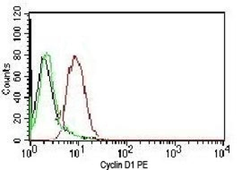 Cyclin D1 Antibody / PE Conjugate