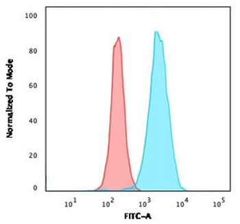 CD45RB Antibody (B-cell marker)