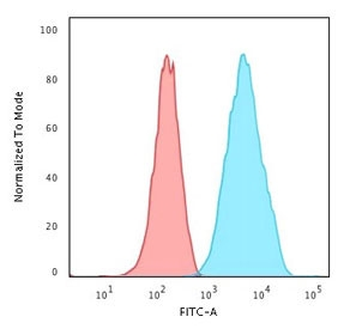 Recombinant S100A4 Antibody / FSP1
