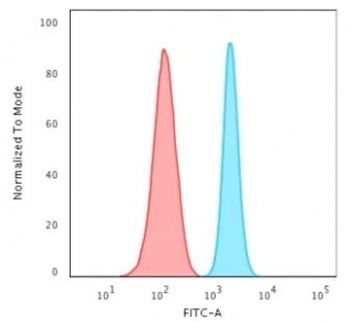 Recombinant SPTBN2 Antibody / Spectrin beta III