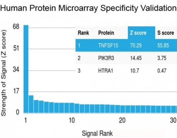 TNFSF15 Antibody / VEGI / TL1A