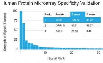 CD3e Antibody