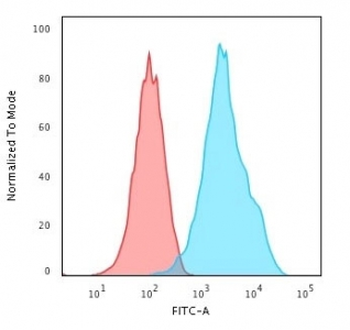 Recombinant CD20 Antibody