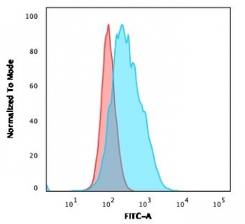CD14 Antibody (Macrophage Marker)