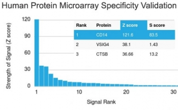 CD14 Antibody (Macrophage Marker)