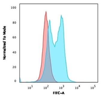 PU.1 Antibody / SPI1