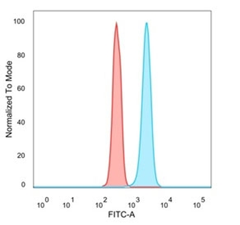 STAT6 Antibody