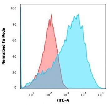 Recombinant Neurofilament Antibody / Heavy