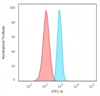 Recombinant Spectrin beta III Antibody / SPTBN2