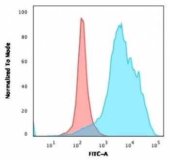 Recombinant CD63 Antibody / LAMP-3